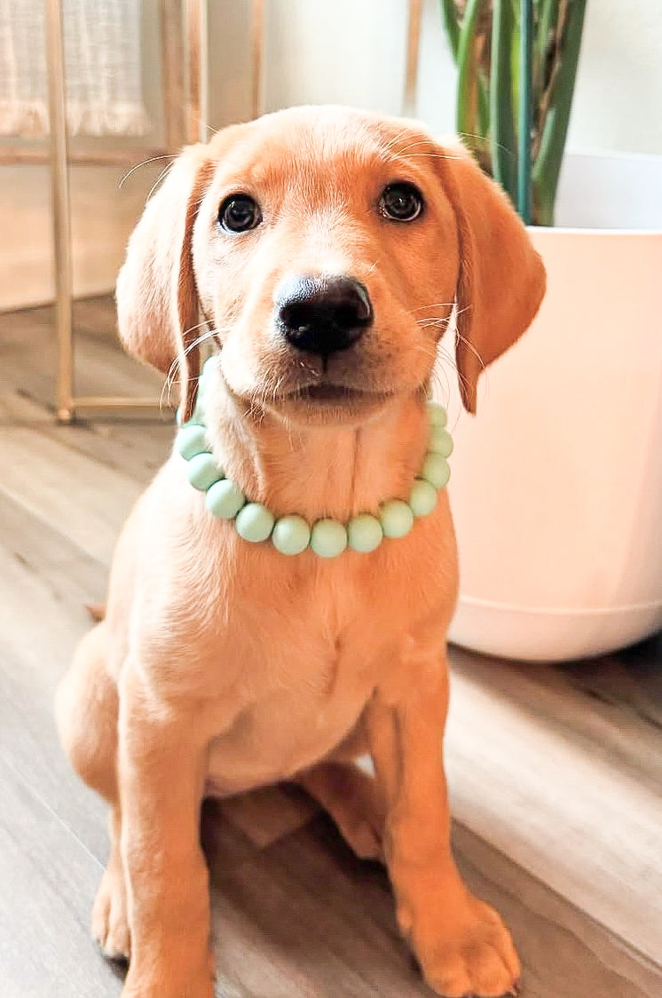 MINT MATTE BEADED COLLAR - PREMADE