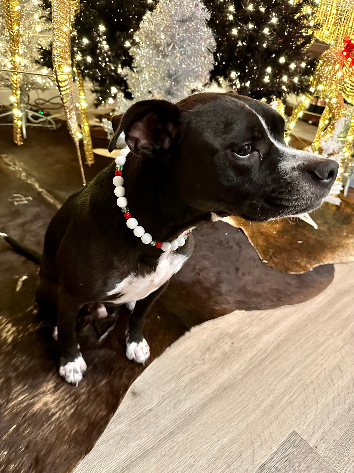 WINTERBERRY BEADED COLLAR