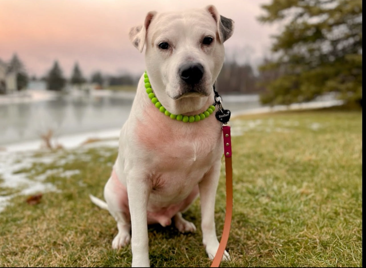 CITRUS BLAST BEADED COLLAR