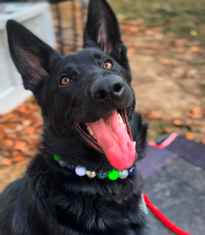 CUSTOM BEADED DOG COLLAR