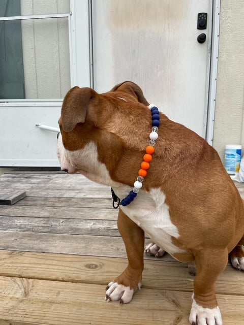 CUSTOM BEADED DOG COLLAR