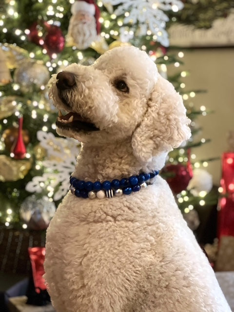 CUSTOM BEADED DOG COLLAR