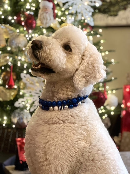 CUSTOM BEADED DOG COLLAR